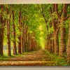 Lover's Lane